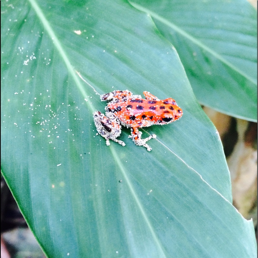 Meet your Posher, Maritza